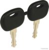 LINDE 0009730441 Key